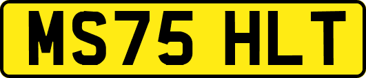 MS75HLT