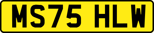 MS75HLW