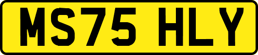 MS75HLY