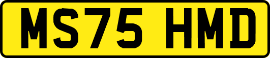 MS75HMD