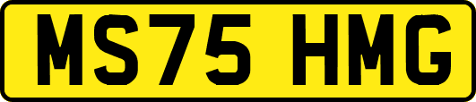 MS75HMG