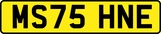 MS75HNE