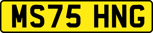 MS75HNG