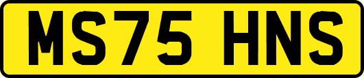 MS75HNS
