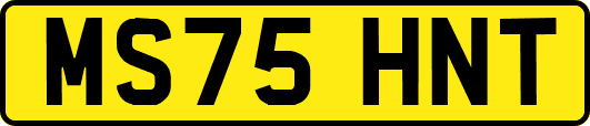 MS75HNT