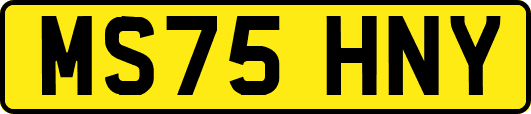 MS75HNY