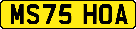 MS75HOA