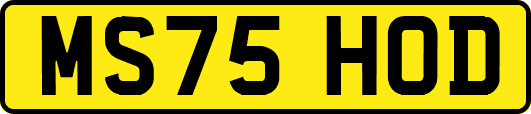 MS75HOD