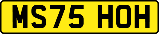 MS75HOH
