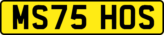 MS75HOS