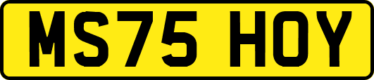 MS75HOY
