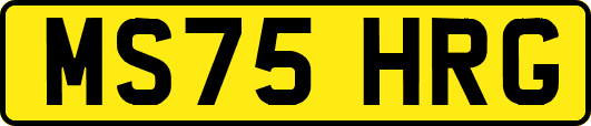 MS75HRG