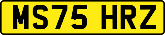 MS75HRZ