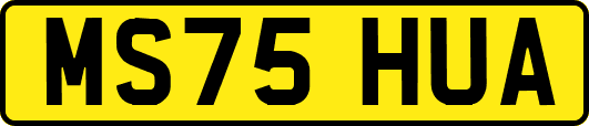 MS75HUA