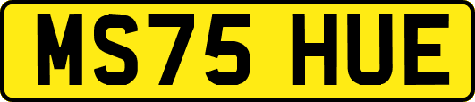 MS75HUE