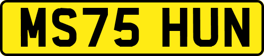 MS75HUN