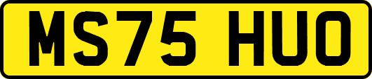 MS75HUO