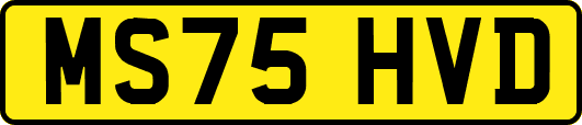 MS75HVD