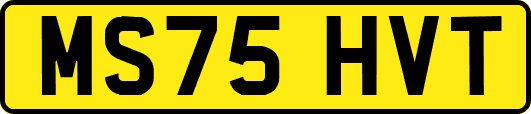 MS75HVT