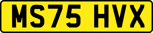 MS75HVX