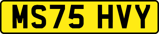 MS75HVY