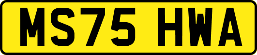 MS75HWA
