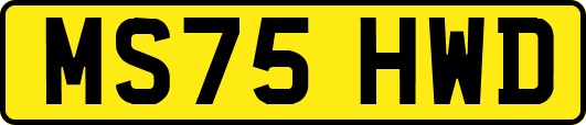 MS75HWD