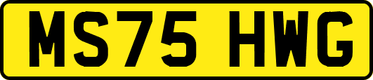 MS75HWG