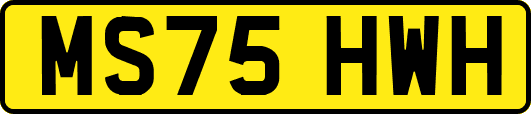 MS75HWH