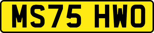 MS75HWO