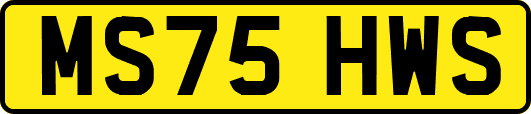 MS75HWS