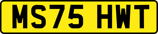 MS75HWT