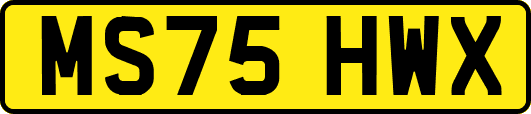 MS75HWX