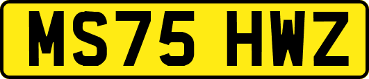 MS75HWZ