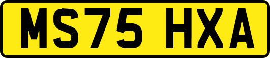 MS75HXA