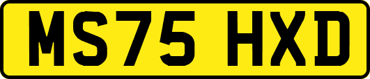 MS75HXD