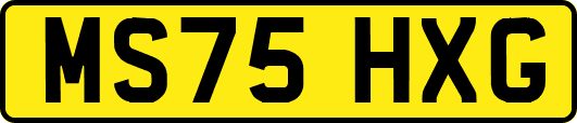 MS75HXG