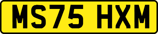 MS75HXM