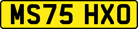 MS75HXO