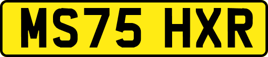 MS75HXR