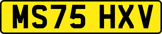 MS75HXV