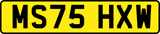 MS75HXW