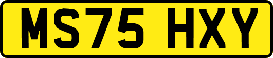 MS75HXY