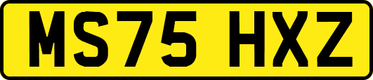 MS75HXZ
