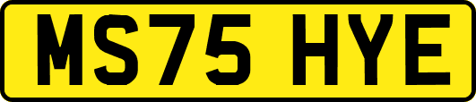 MS75HYE