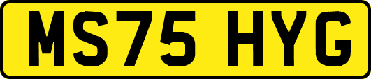 MS75HYG