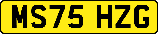 MS75HZG