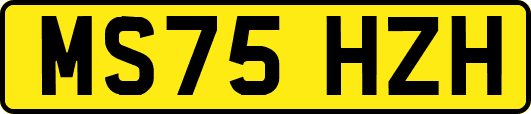 MS75HZH