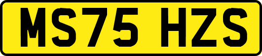 MS75HZS