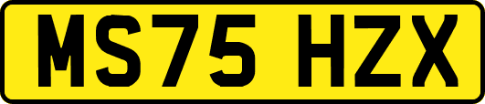 MS75HZX